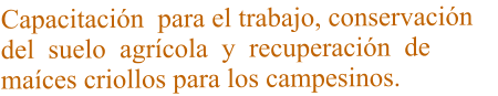 Capacitación  para el trabajo, conservación  del  suelo  agrícola  y  recuperación  de  maíces criollos para los campesinos.
